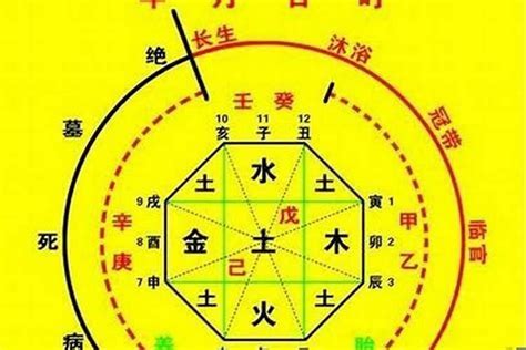 金水八字|八字金水是哪些(八字喜金水是什么意思)